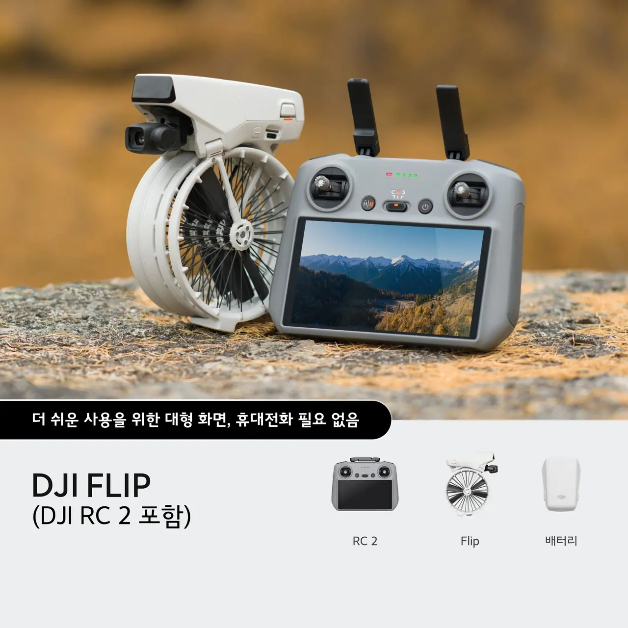 DJI Flip (DJI RC 2 포함)